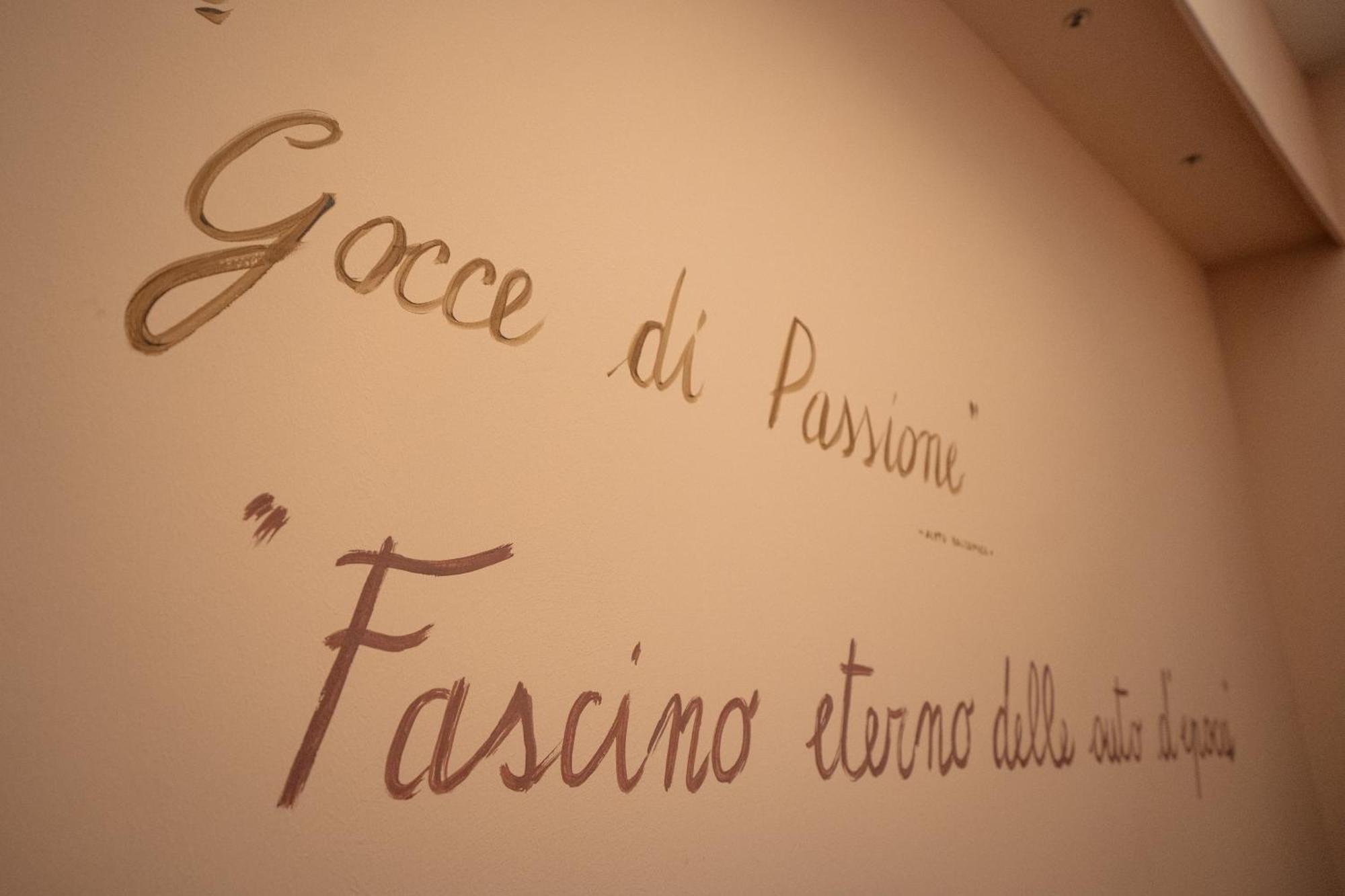 Hotel Terme Salvarola Sassuolo Exterior photo